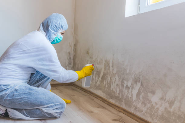 Licensed Mold Cleanup service in Sumerduck, VA - WQB Mold Removal